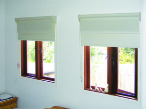 blinds and awning